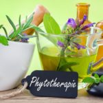 Fitovigilanza online per la sicurezza nell’uso delle piante