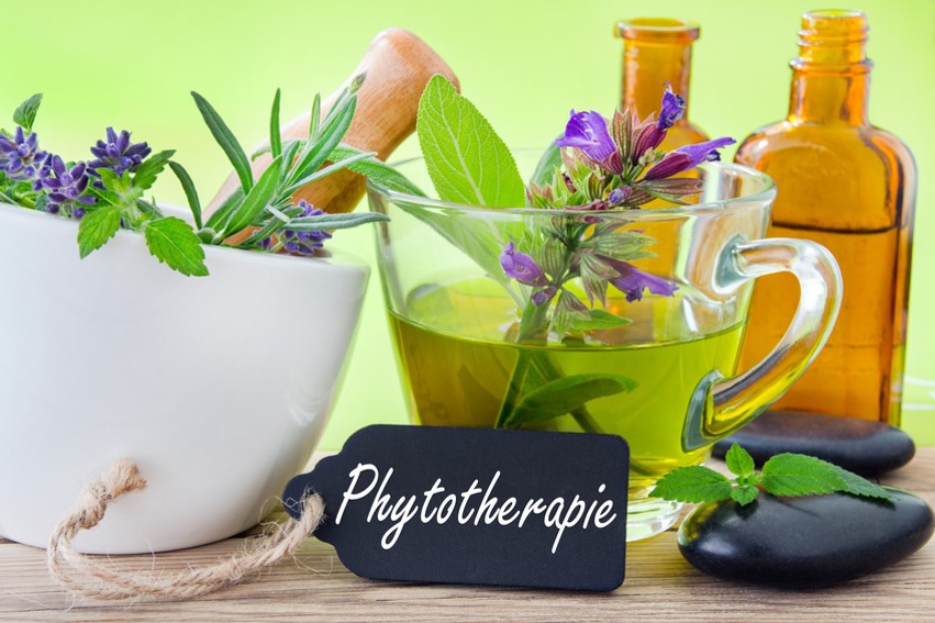 Fitovigilanza online per la sicurezza nell’uso delle piante