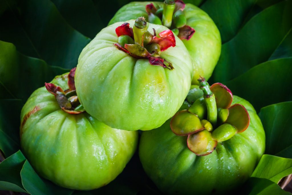 Rischio di danno epatico con l’assunzione di Garcinia Cambogia