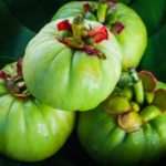 Rischio di danno epatico con l’assunzione di Garcinia Cambogia